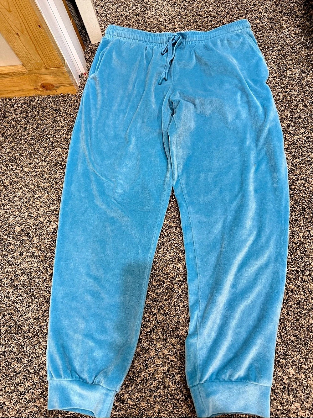 Posh Peanut Cinderella Pants Blue Velour Joggers Size Medium